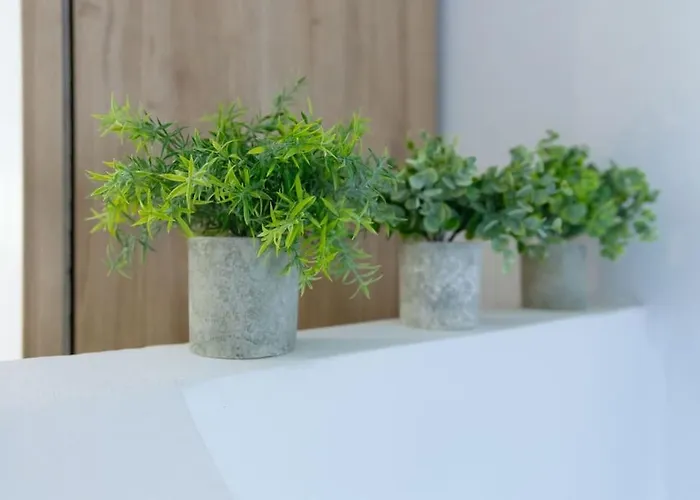 Donna Marta Μπολόνια